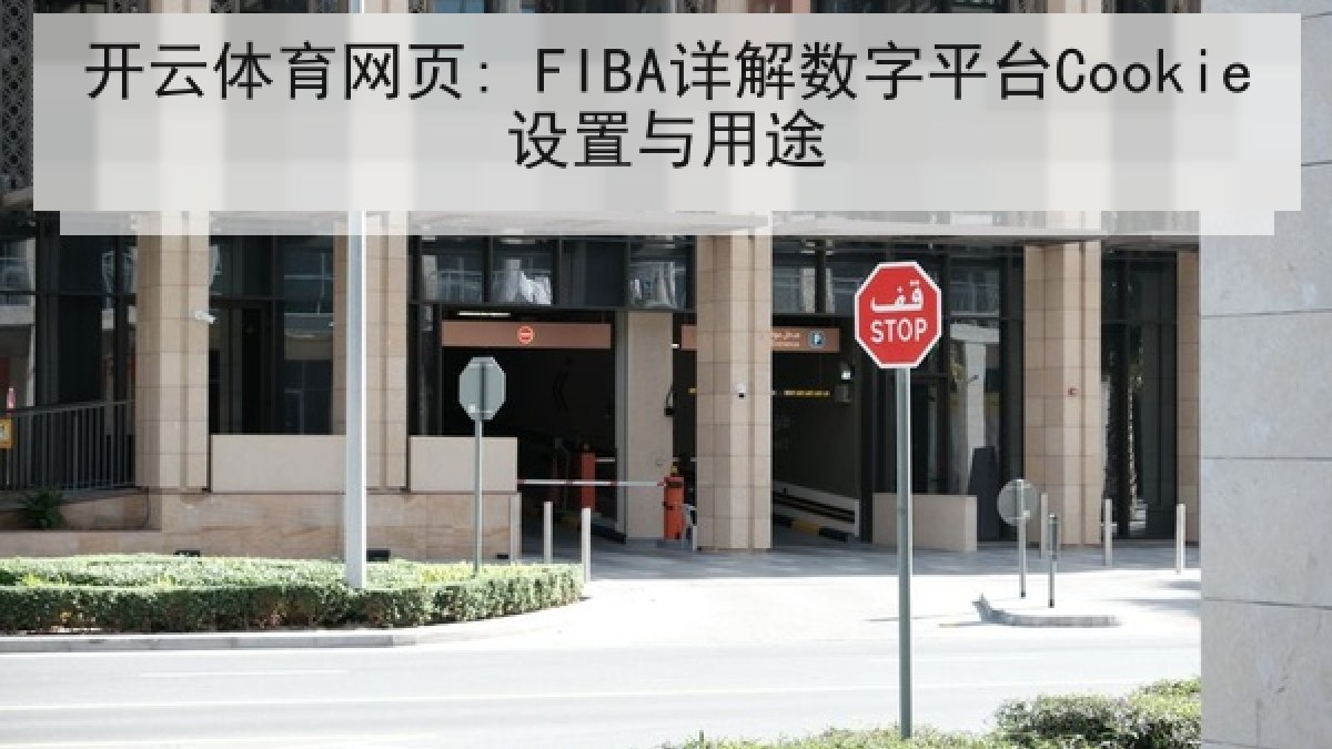 开云体育网页: FIBA详解数字平台Cookie设置与用途