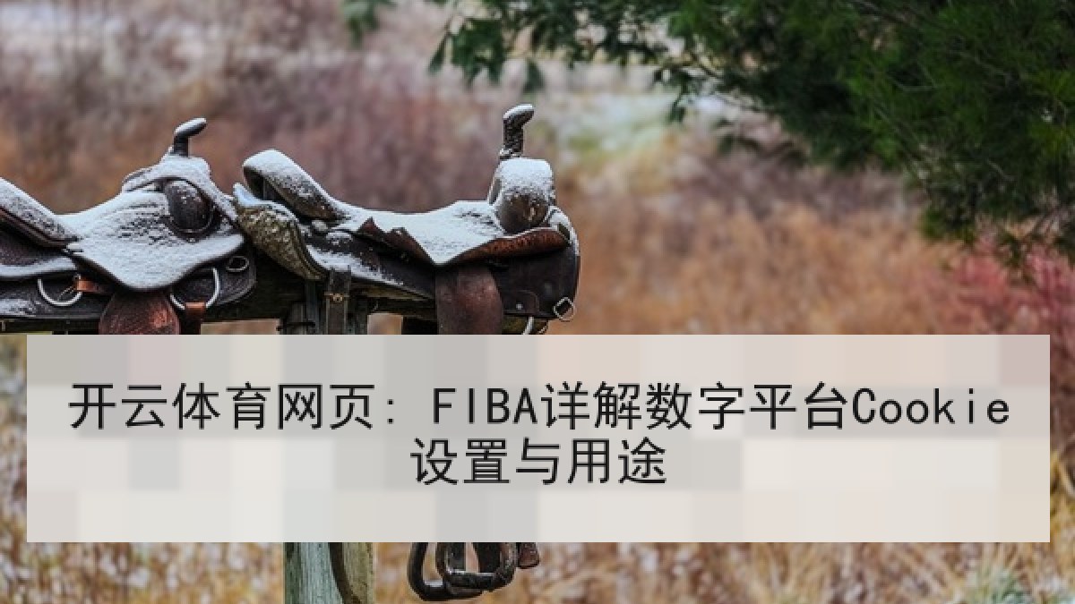 开云体育网页: FIBA详解数字平台Cookie设置与用途