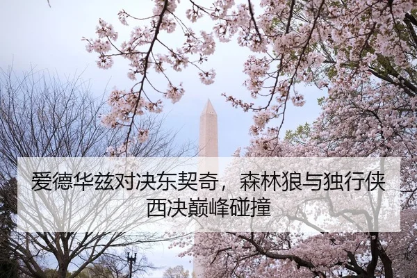 ai-de-hua-zi-dui-jue-dong-qi-qi-sen-lin-lang-yu-du-xing-xia-xi-jue-dian-feng-peng-zhuang-2-429.jpg